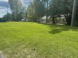 Kathy D.'s lawn care services service result