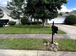 Miguel S.'s grass cutting service result