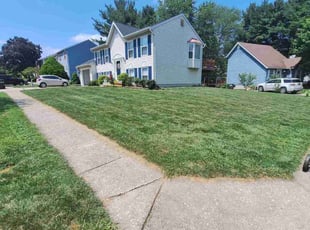 Randy K.'s turf care service result