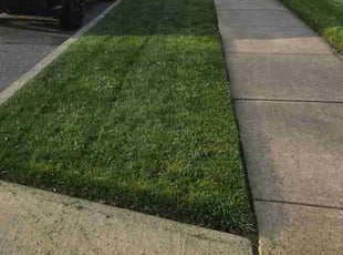 Frank T.'s lawn care services service result