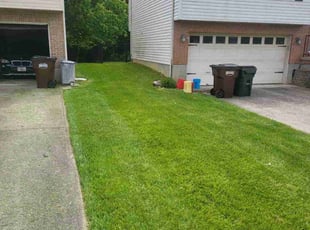 Frederick S.'s turf maintenance service result