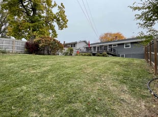 Chineta H.'s lawn maintenance service result