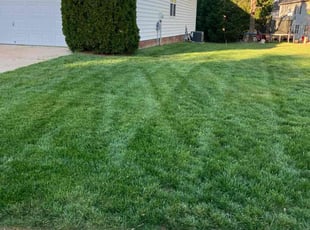 Jerry G.'s landscape maintenance service result