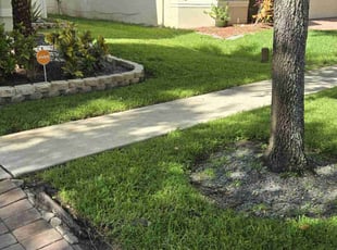 Amelia C.'s turf maintenance service result