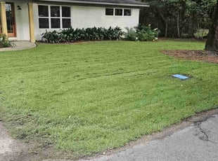 Brian R.'s grass cutting service result