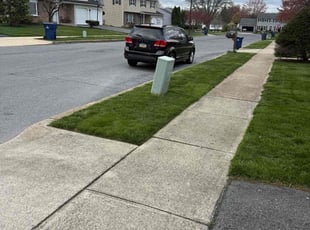 Deborah S.'s lawn care services service result