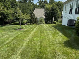 Derwin D.'s lawn care service result