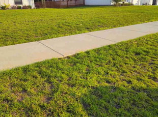 Janice B.'s turf care service result