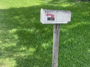 George D.'s yard maintenance service result