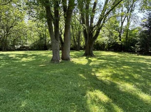 Lorena C.'s lawn service service result
