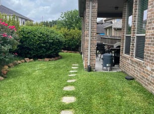 Sandy C.'s grass cutting service result
