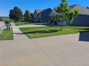 Barry B.'s grass cutting service result