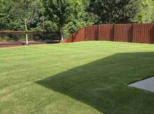 Melissa S.'s turf care service result