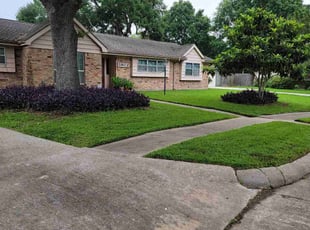 Vin P.'s lawn maintenance service result