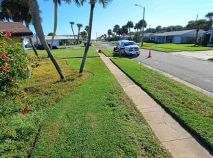 Jaime R.'s lawn maintenance service result