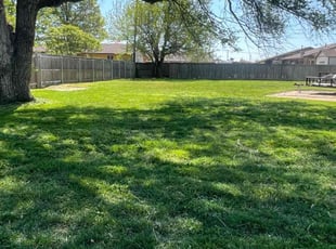 Moose M.'s grass cutting service result