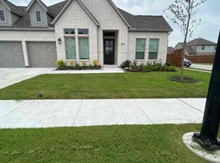 Patrick G.'s grass cutting service result