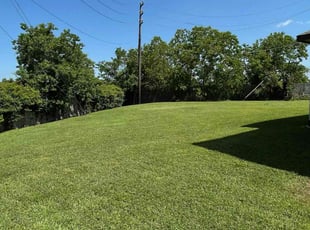 Nelson V.'s grass maintenance service result
