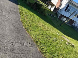 Samuel H.'s lawn care services service result