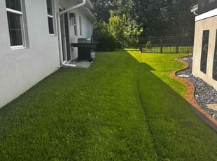 Matthew H.'s turf maintenance service result