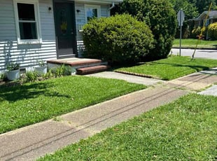 Helen H.'s turf care service result