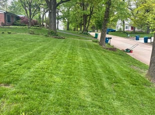 Cher G.'s turf care service result