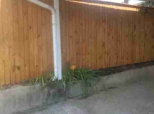 Paula J.'s Bush Trimming service result