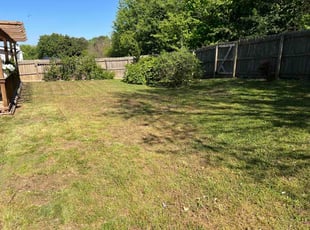 Brian Y.'s grass maintenance service result