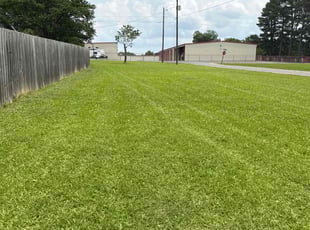 Tim H.'s turf care service result