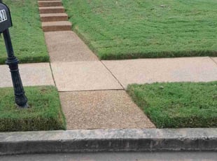 Michael G.'s lawn maintenance service result