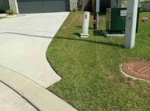 Debby B.'s lawn service service result