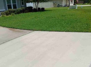 Jose P.'s Long Grass Cleanup service result