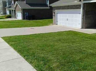 Joe C.'s turf maintenance service result