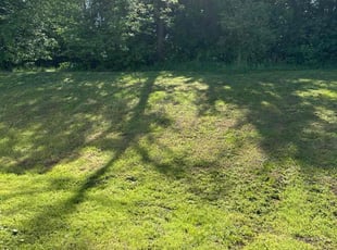 Kenjay W.'s turf maintenance service result