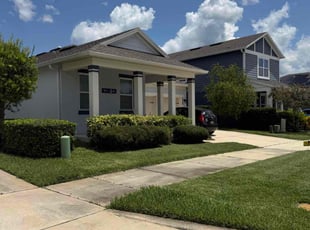 Ray V.'s grass maintenance service result