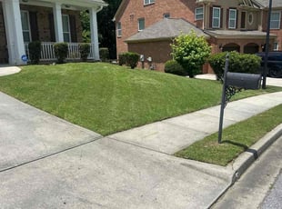 Kariel H.'s lawn service service result