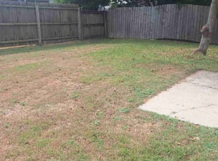 Gary W.'s lawn maintenance service result