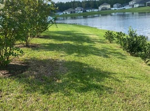 Ashley Y.'s lawn service service result