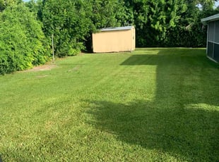 Patricia M.'s lawn care service result