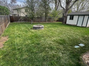 Wayne C.'s lawn service service result