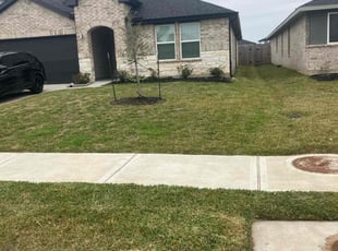 Dianne D.'s lawn service service result