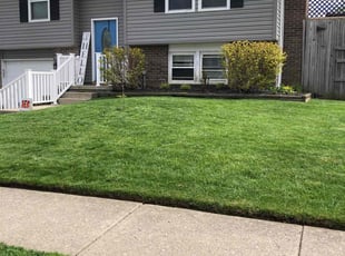 Wayne N.'s lawn maintenance service result