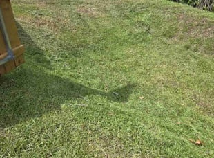 Antwon G.'s lawn maintenance service result