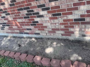 Stephany G.'s turf care service result