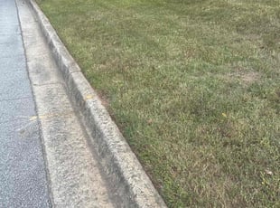 Holly L.'s turf maintenance service result