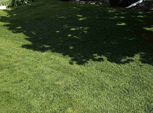 James D.'s lawn maintenance service result
