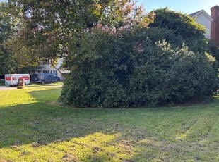 Korbett R.'s Bush Trimming service result