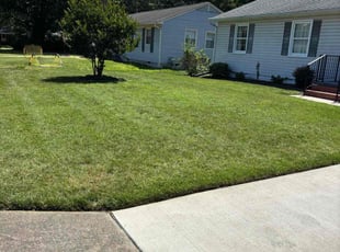 Ted M.'s grass maintenance service result