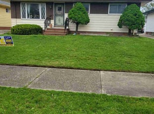 Jamar F.'s lawn care services service result