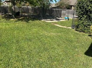 Christian A.'s lawn service service result